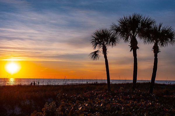 Friel, Bernard 아티스트의 USA-Florida-Sarasota-Crescent Beach-Siesta Key-Sunset작품입니다.